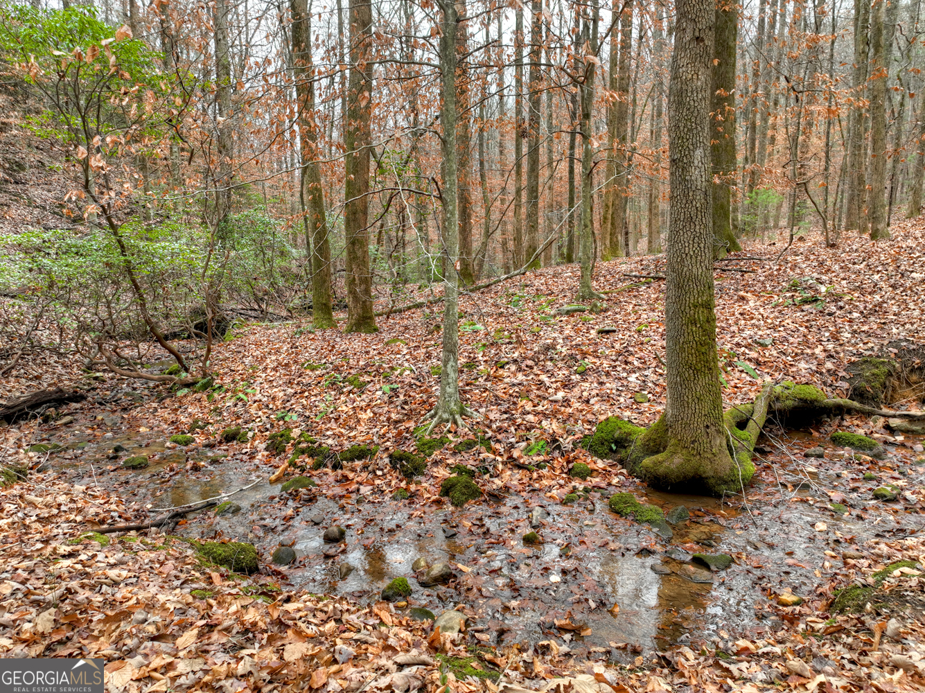 0 Spruill Drive Property Photo 31