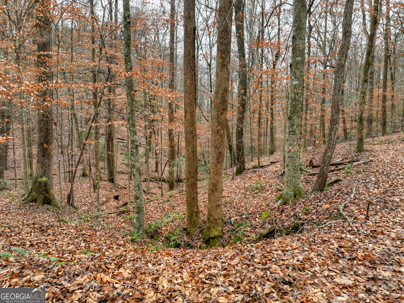 0 Spruill Drive Property Photo 32