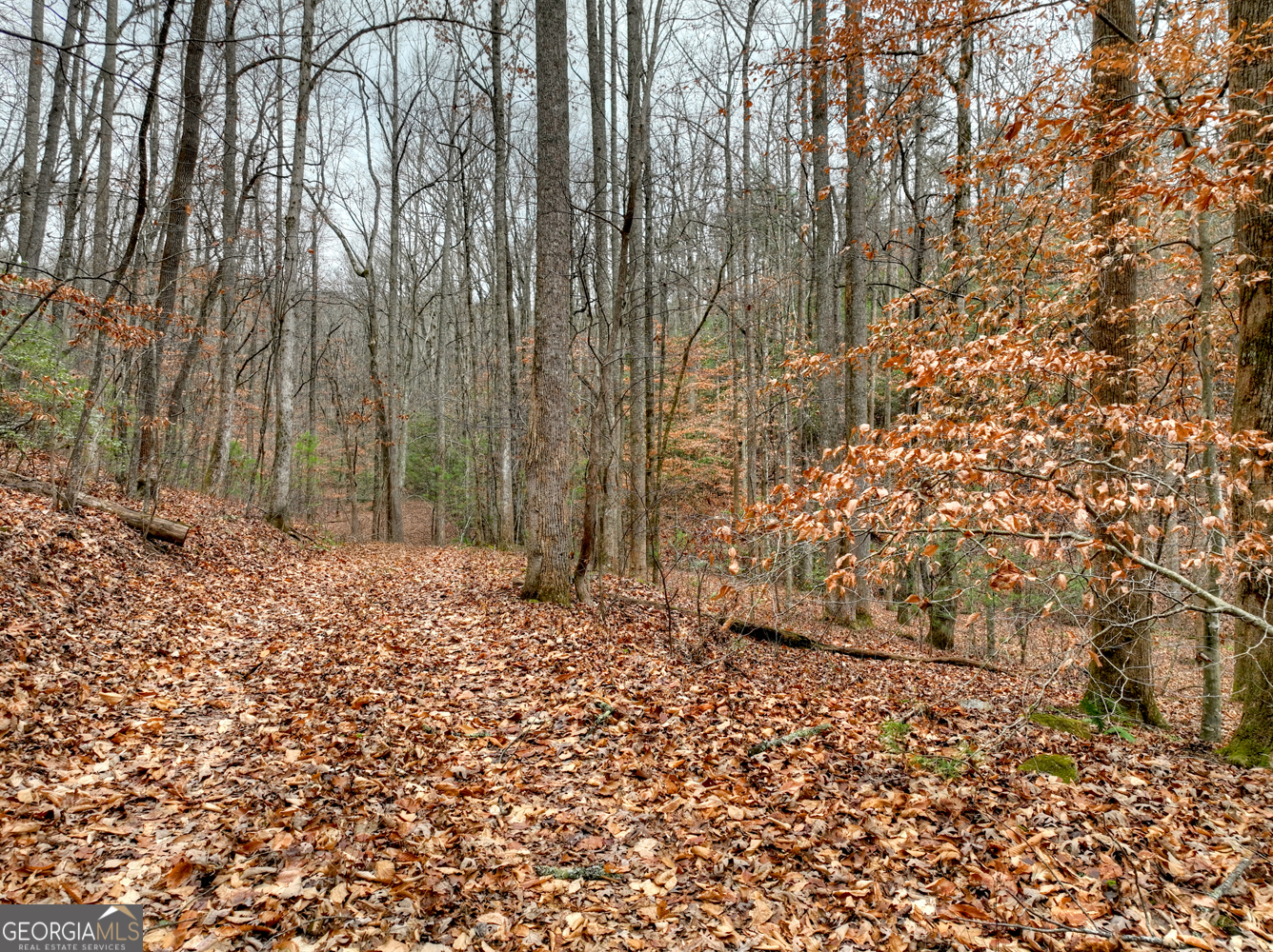 0 Spruill Drive Property Photo 33
