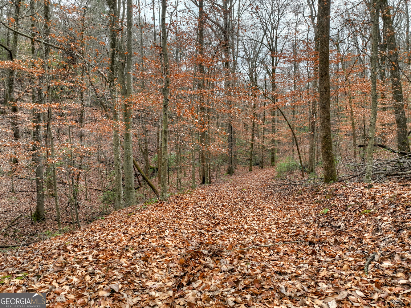 0 Spruill Drive Property Photo 34