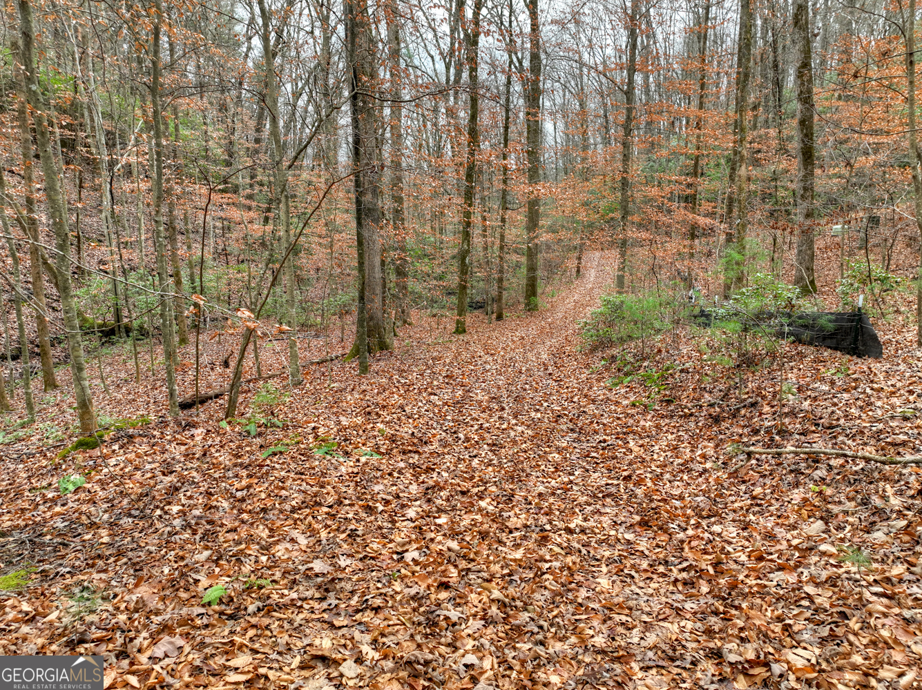 0 Spruill Drive Property Photo 35