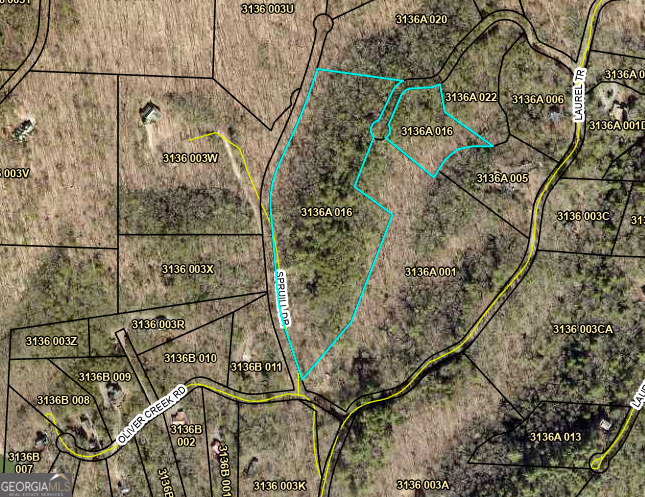 0 Spruill Drive Property Photo 38