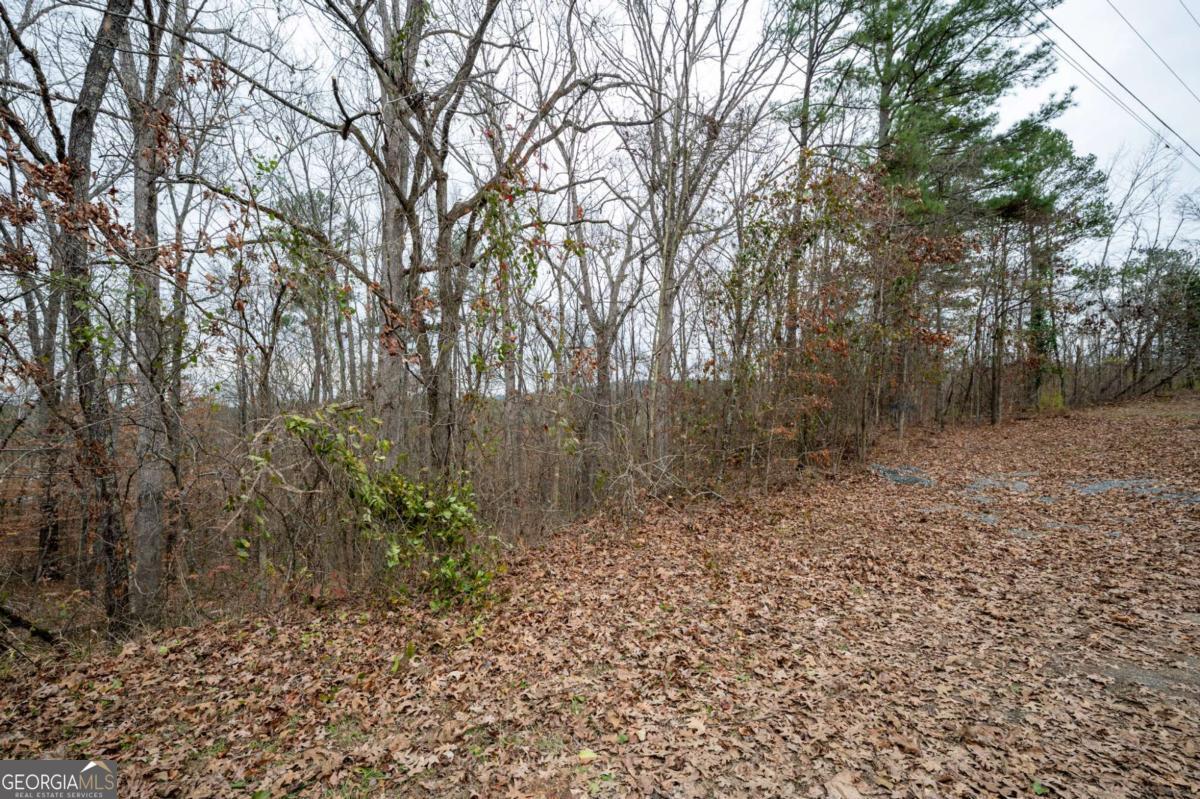 0 Marlene Drive Ne Property Photo 5