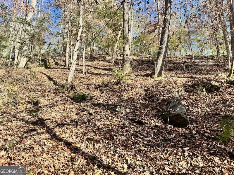 0 Corinth Church Road Property Photo 1
