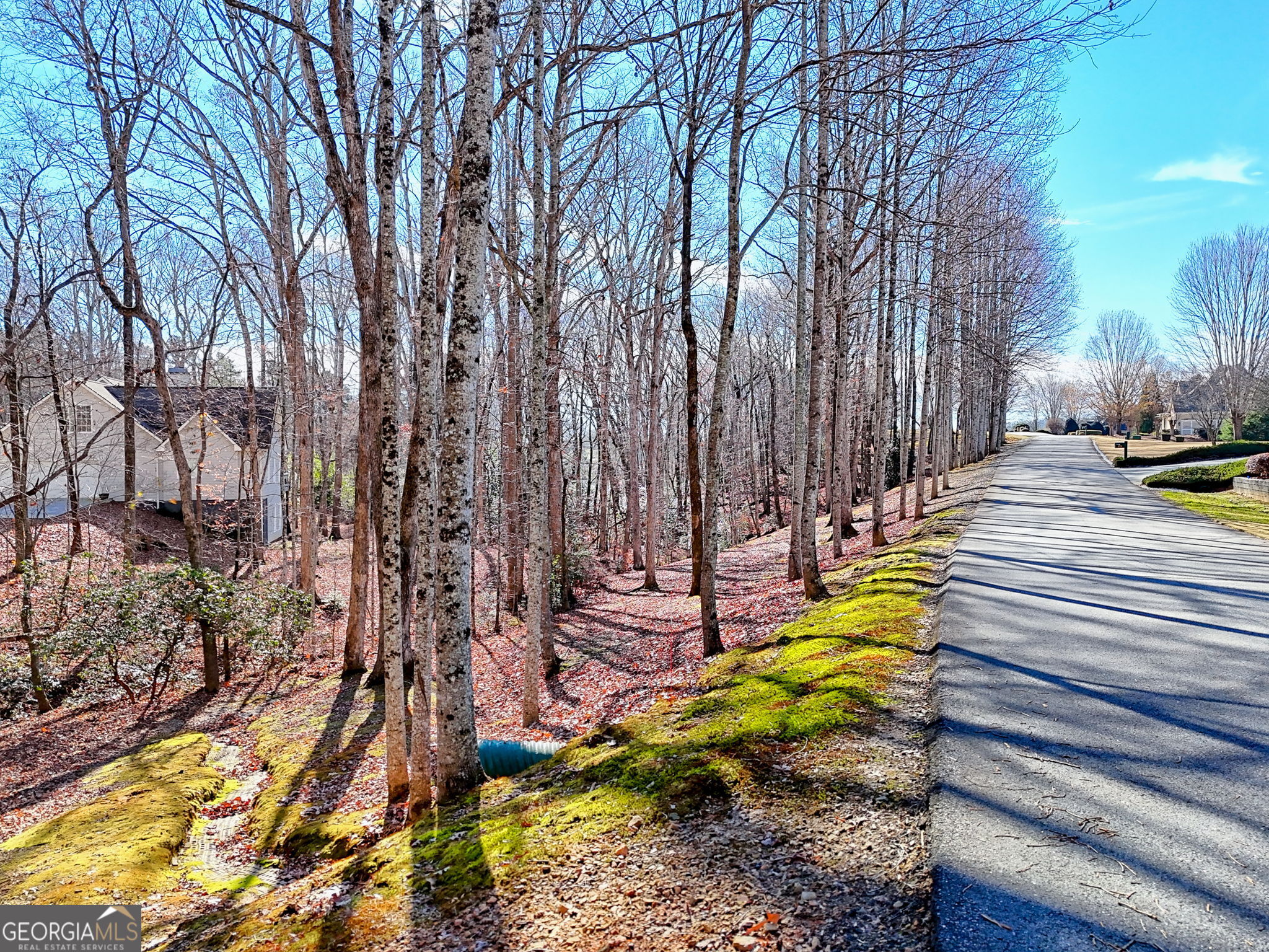 0 Rome Beauty Lane # 1106 Property Photo 11