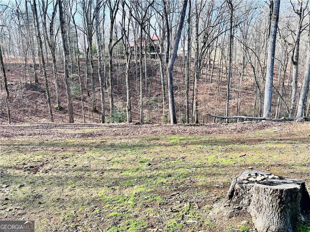 6134 Grant Ford Road Property Photo 4