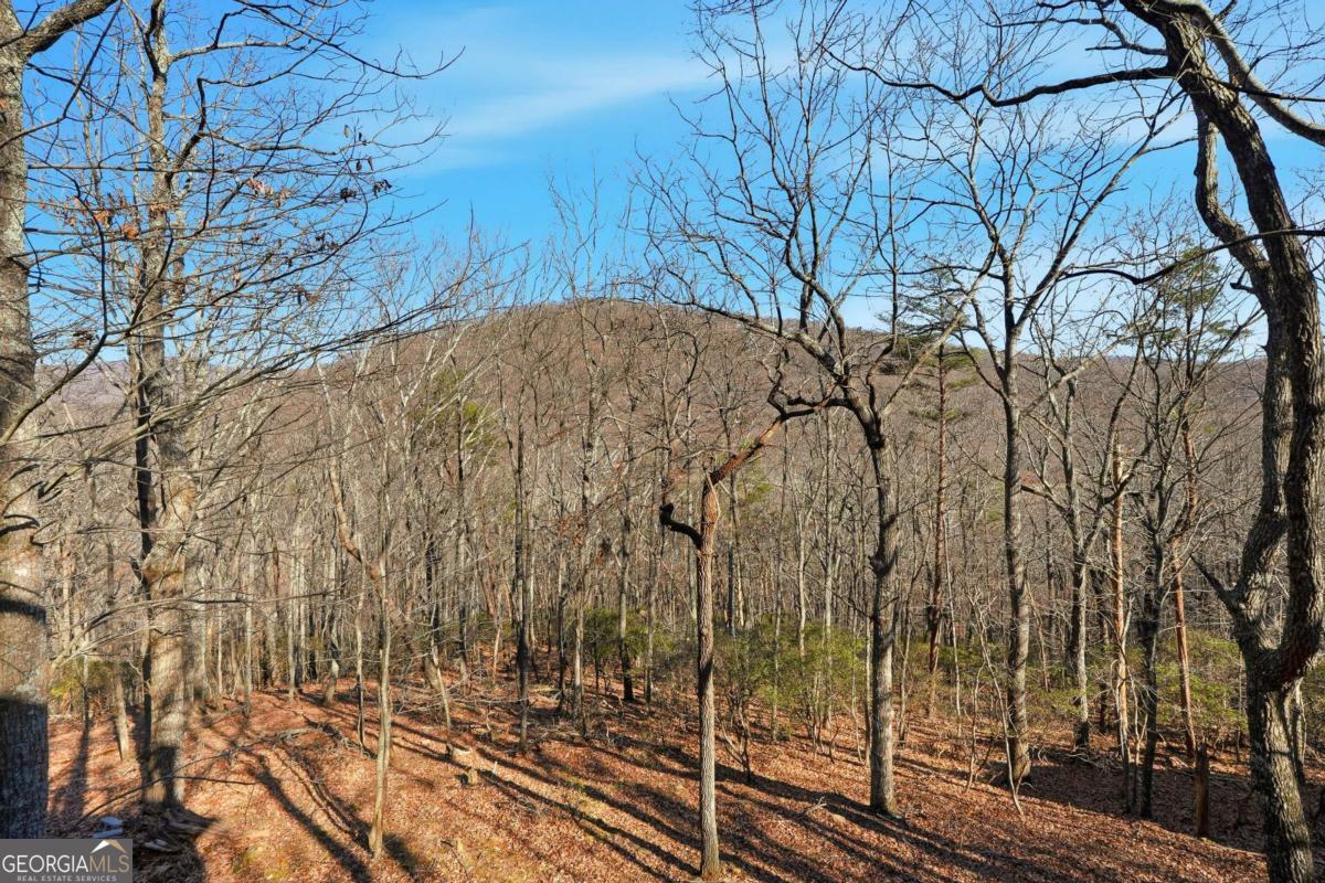 408 Alpine Drive Property Photo 24