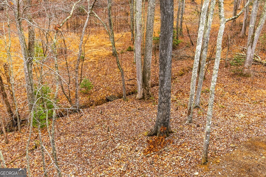 170 Ross Drive Property Photo 19