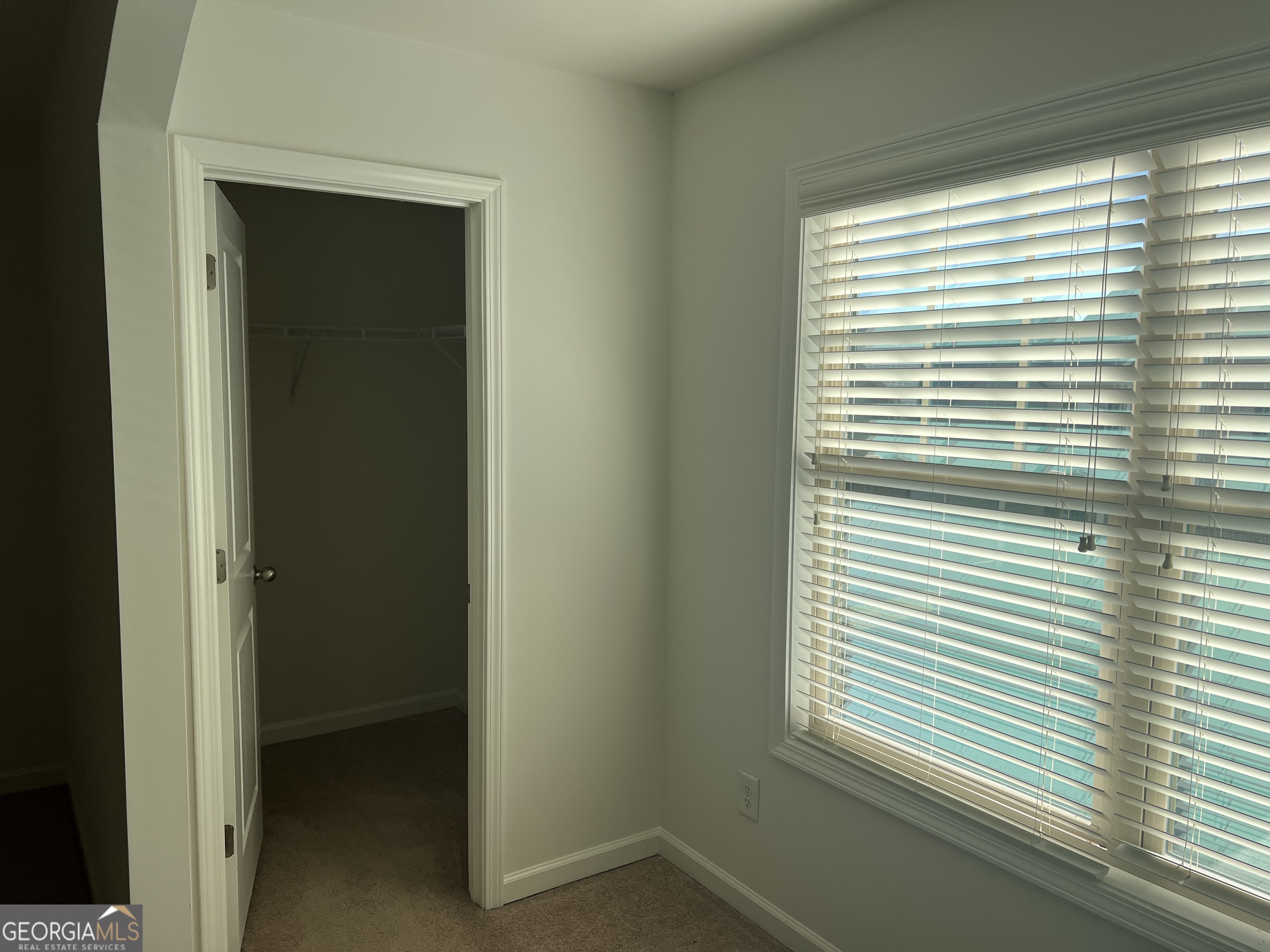6499 Panasa Court Property Photo 21