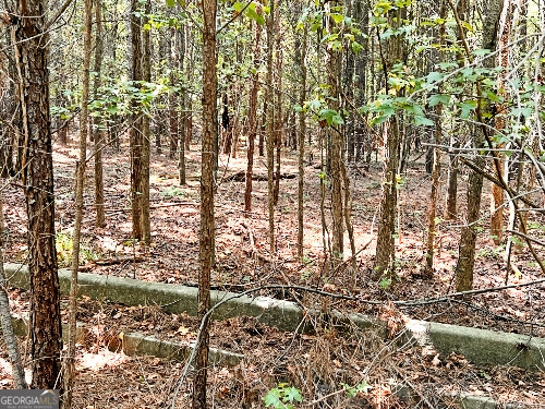 51 Ac Rex Road Property Photo 11