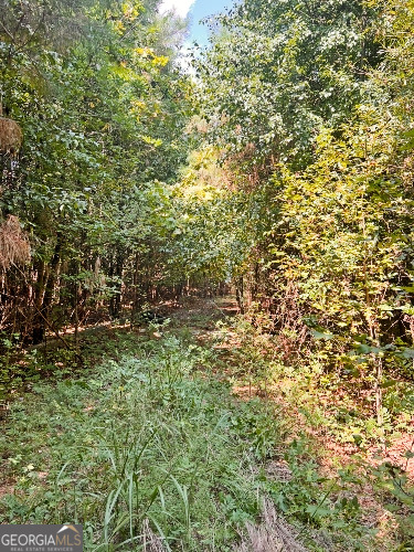51 Ac Rex Road Property Photo 19