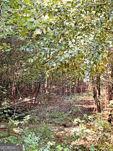 51 Ac Rex Road Property Photo 20