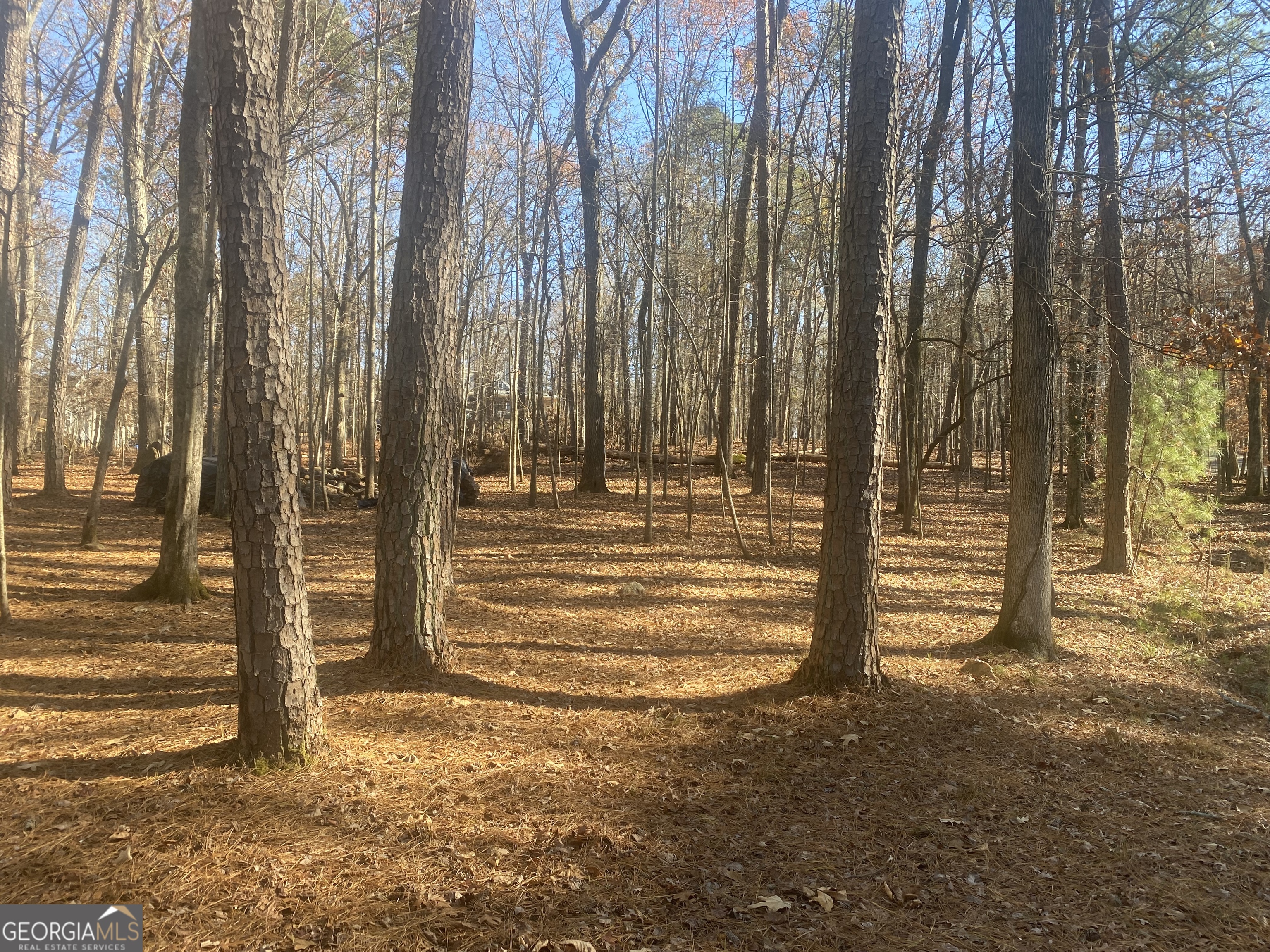 3353 Galts Road Property Photo 3