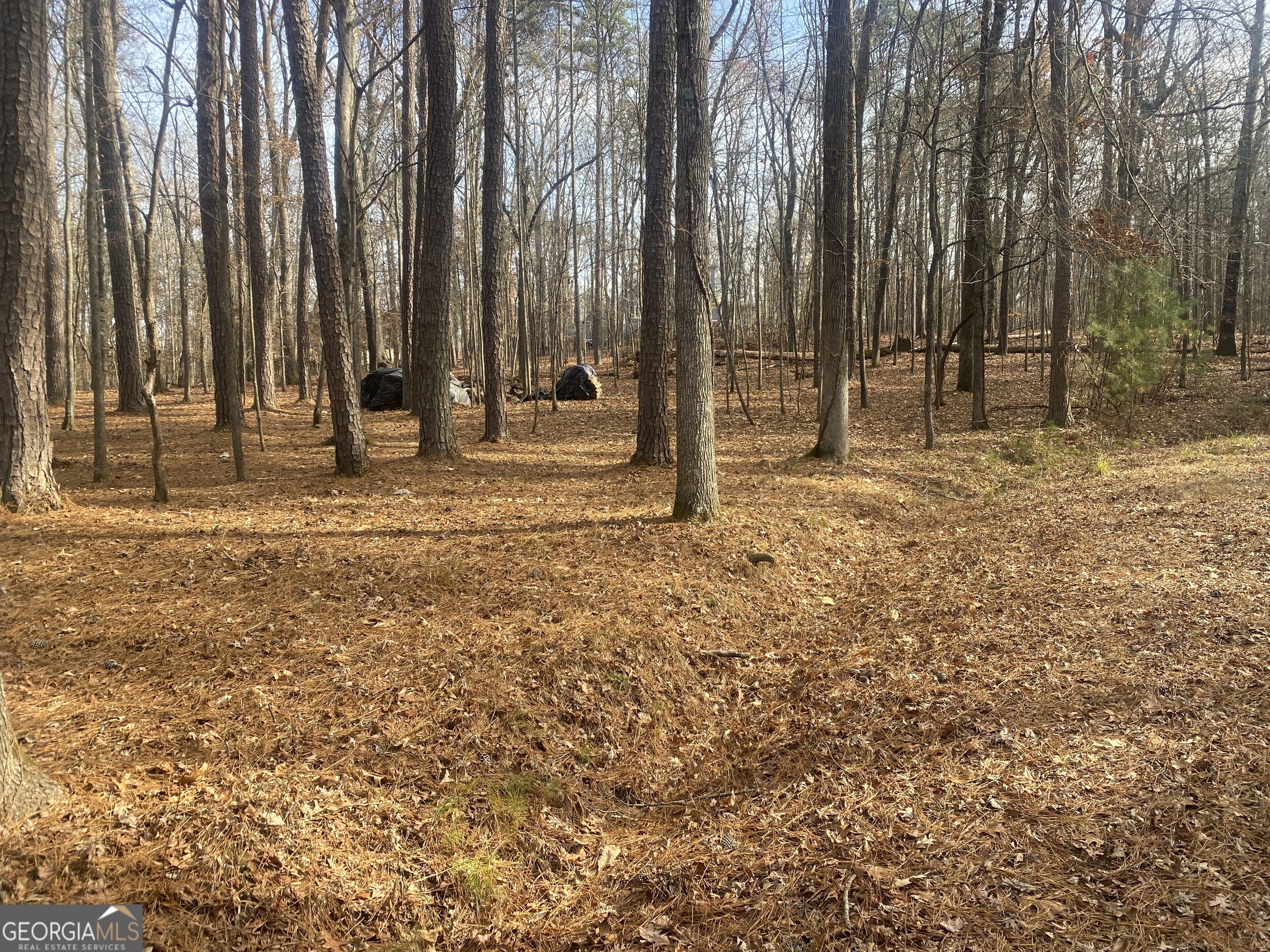 3353 Galts Road Property Photo 4
