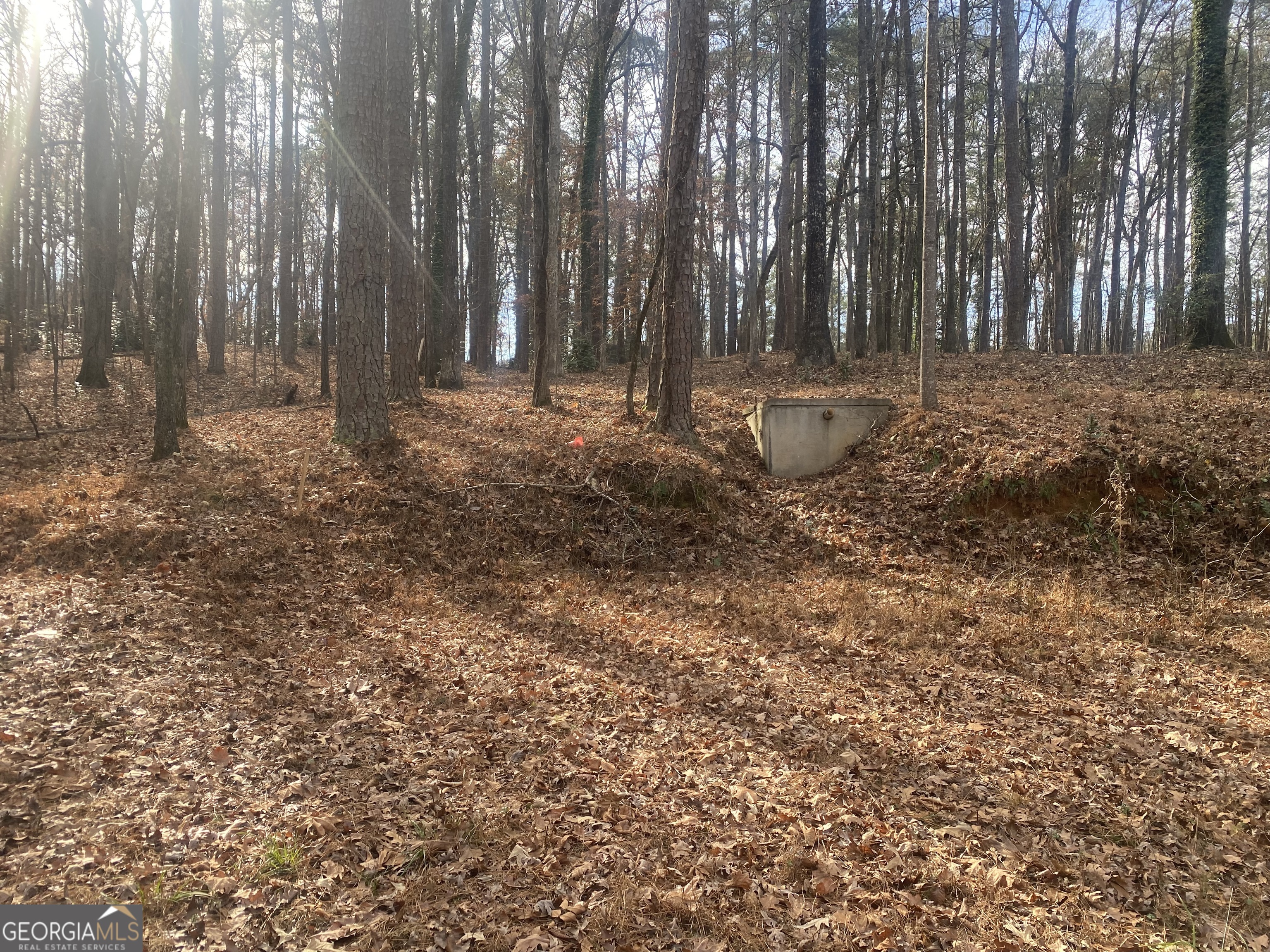 3353 Galts Road Property Photo 5