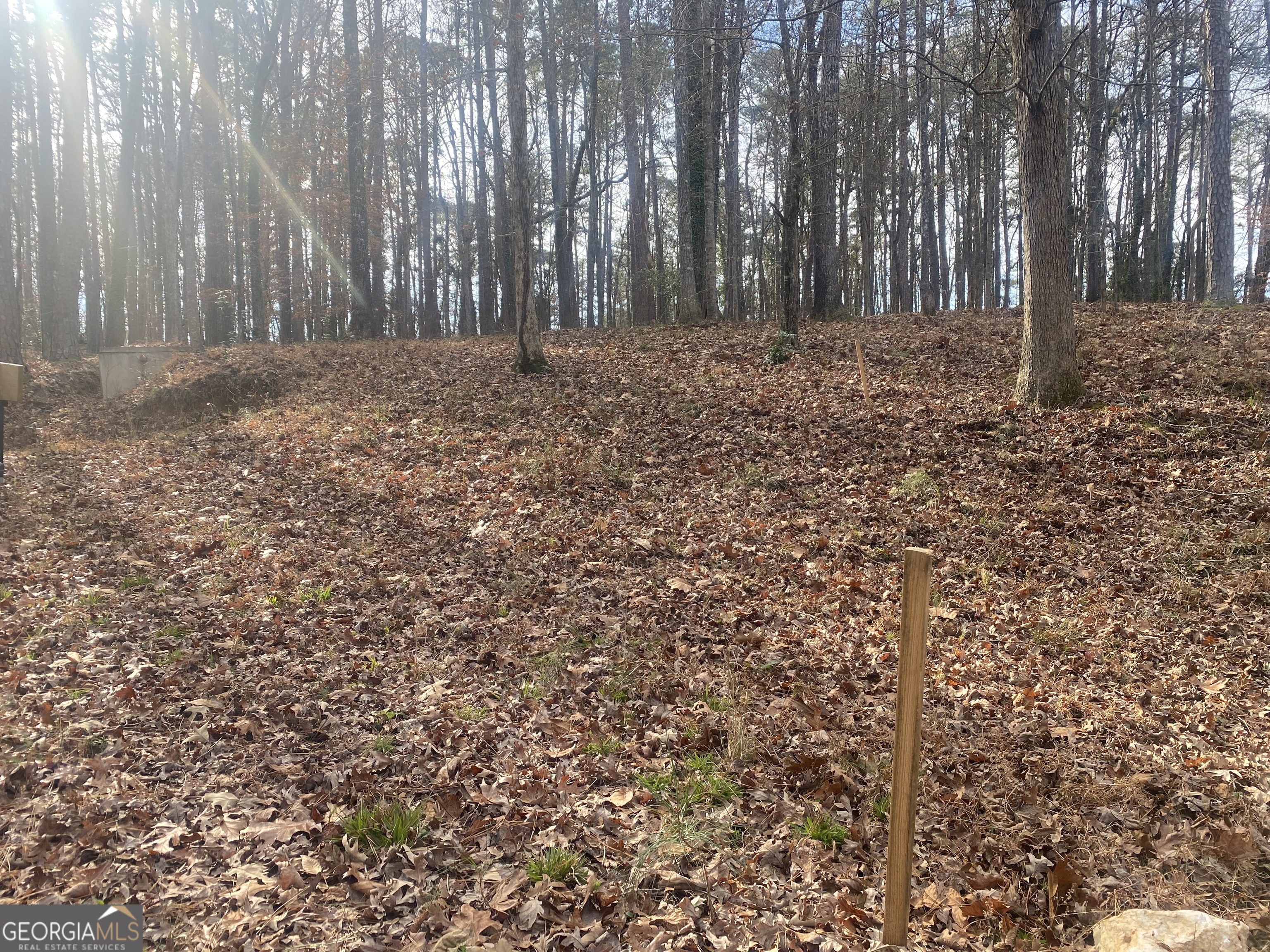 3353 Galts Road Property Photo 6