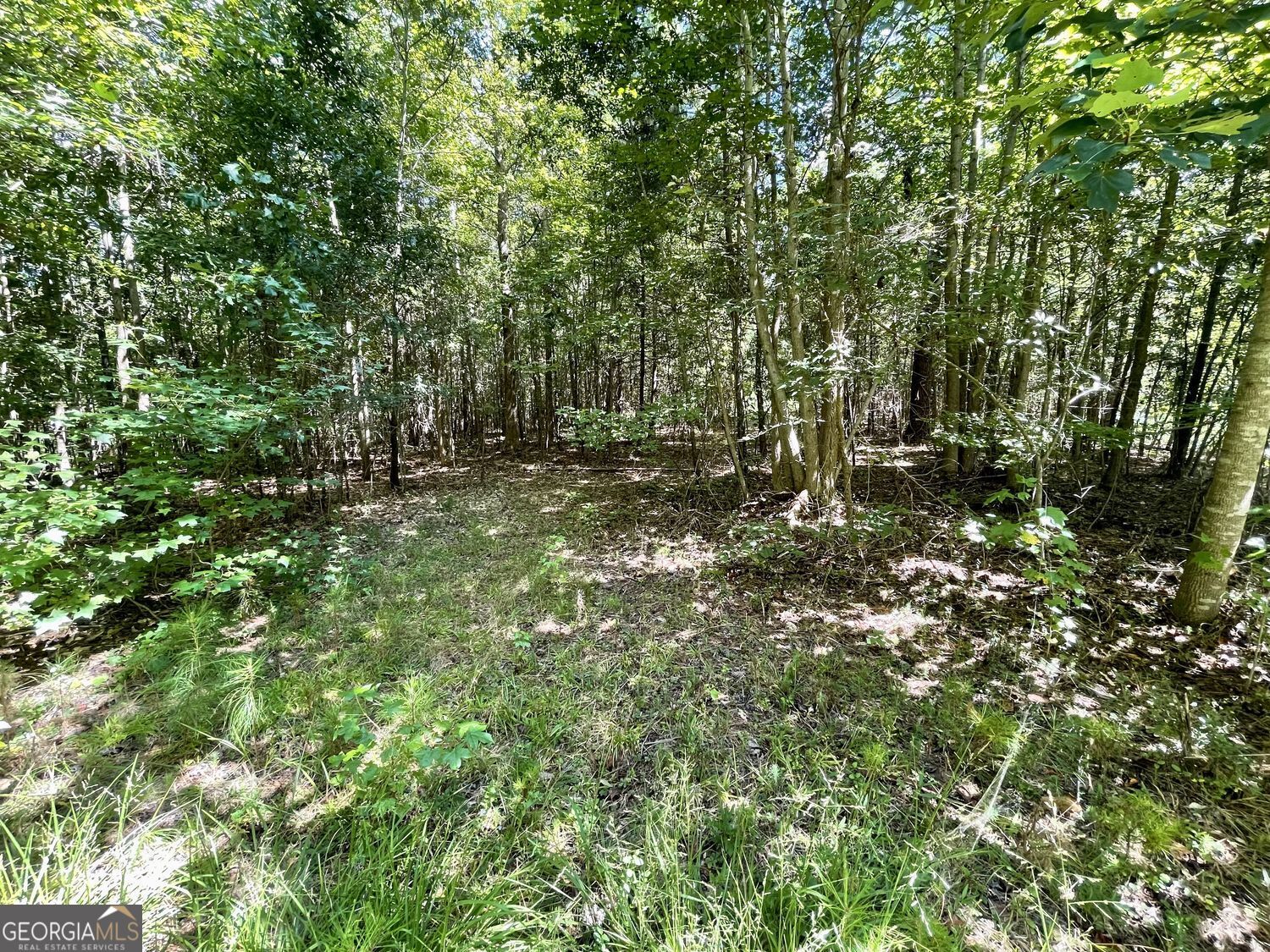 393 Harmony Gates Drive Property Photo 11