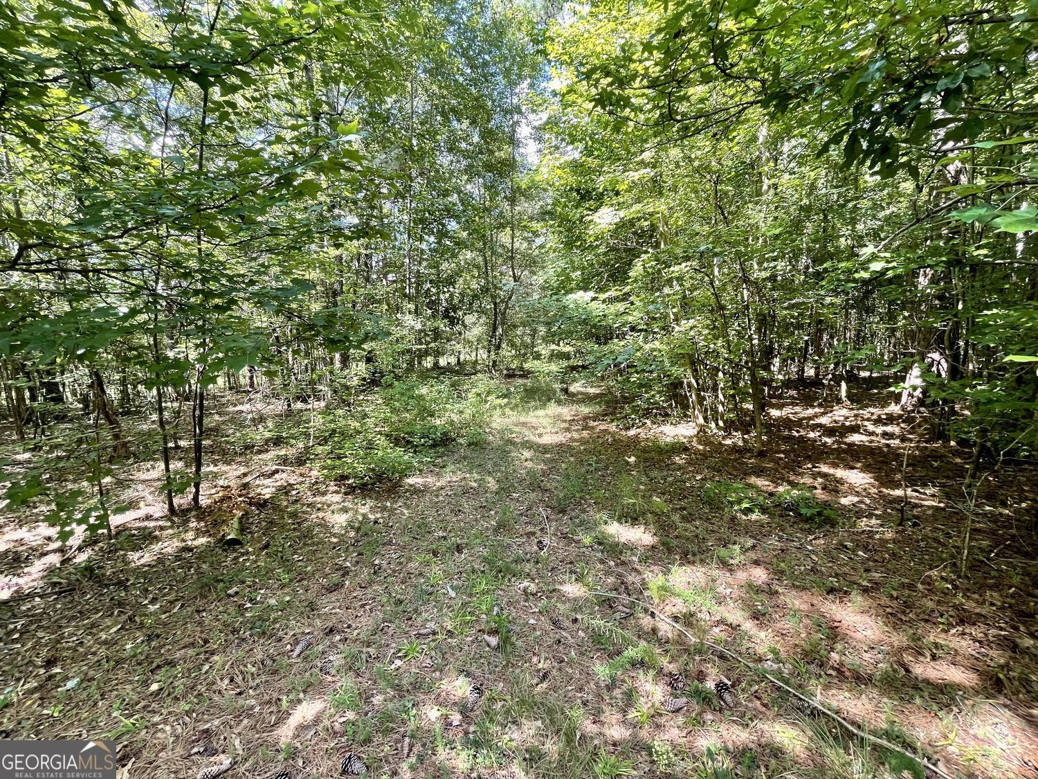 393 Harmony Gates Drive Property Photo 13
