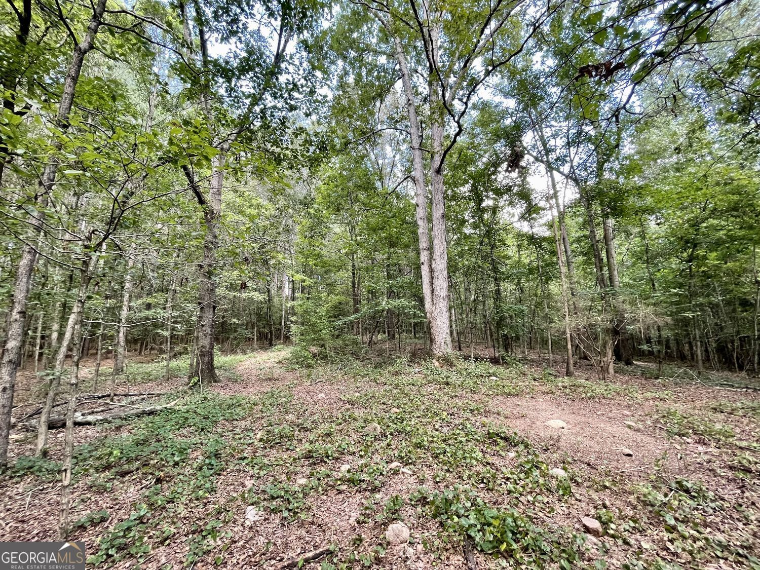 393 Harmony Gates Drive Property Photo 18