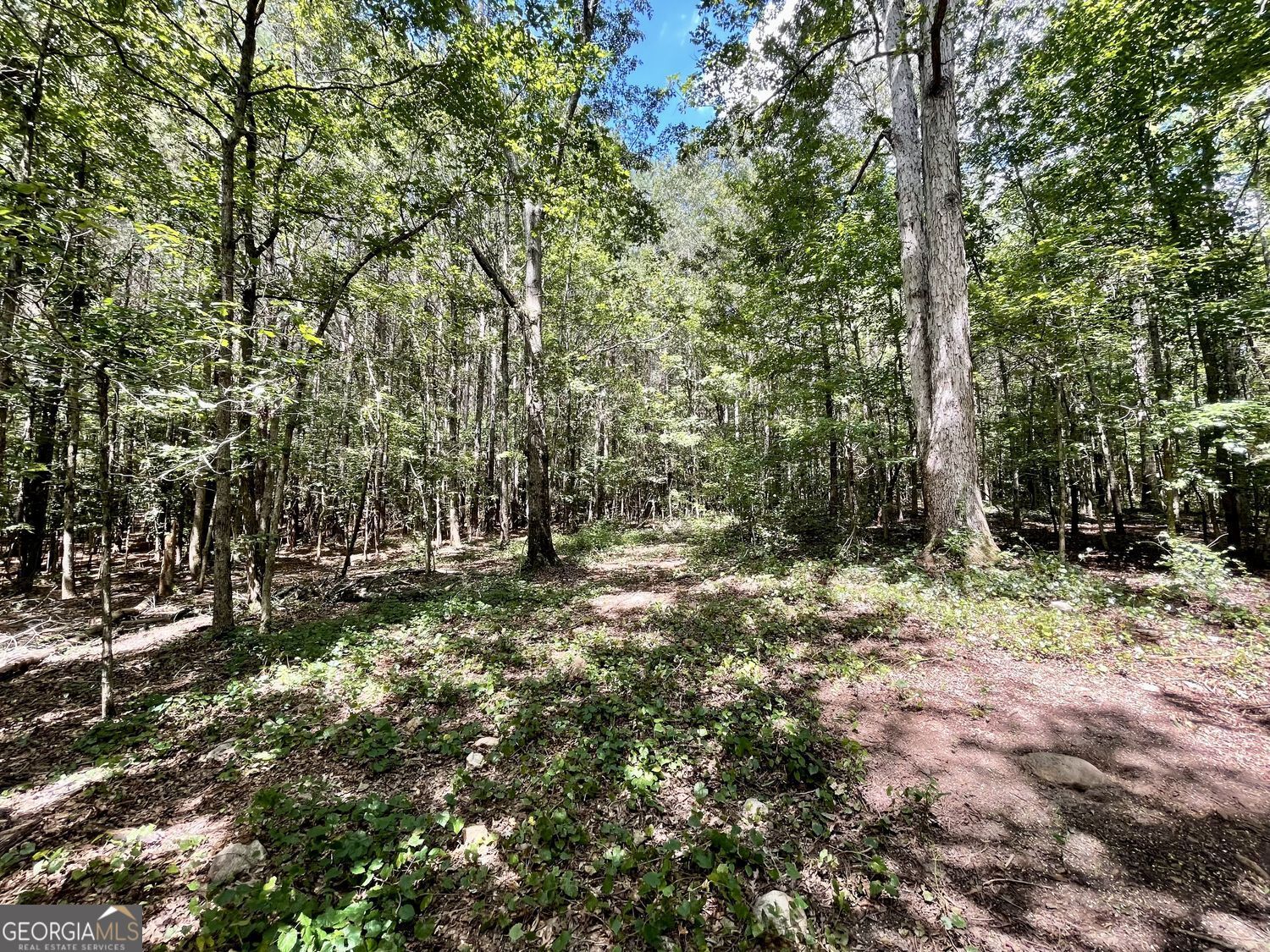 393 Harmony Gates Drive Property Photo 20