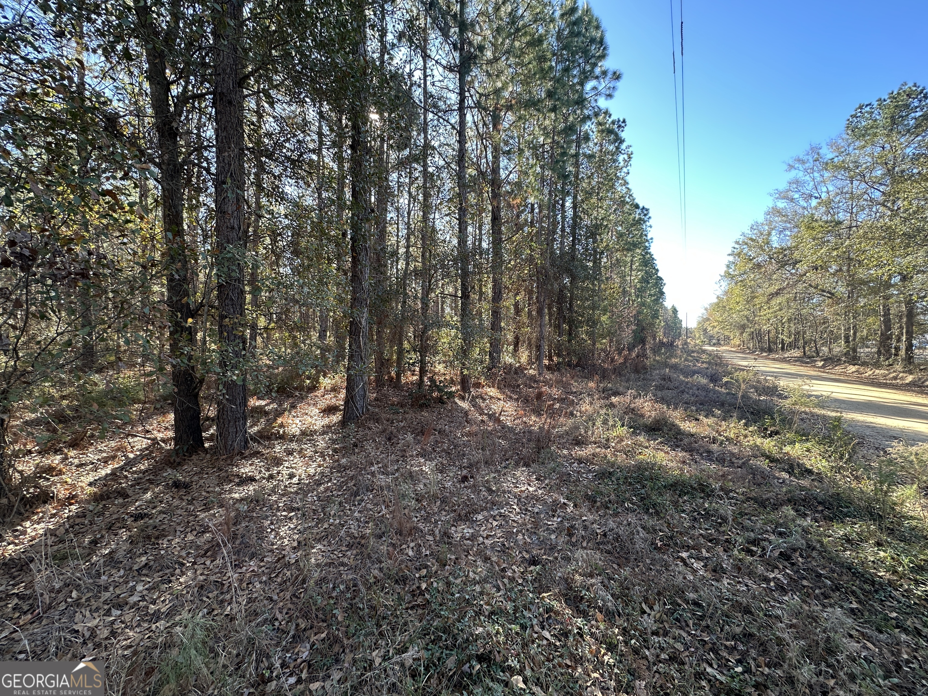 0 Halcyondale Loop Property Photo 1