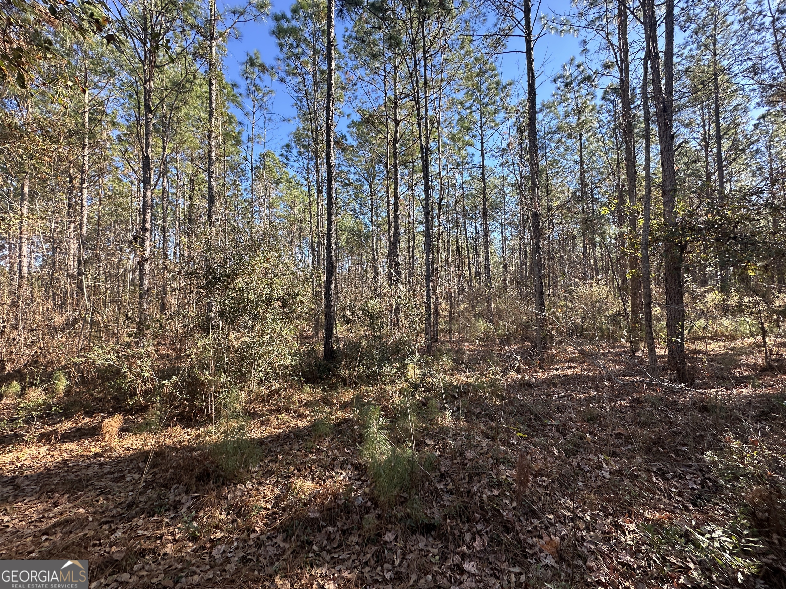 0 Halcyondale Loop Property Photo 2