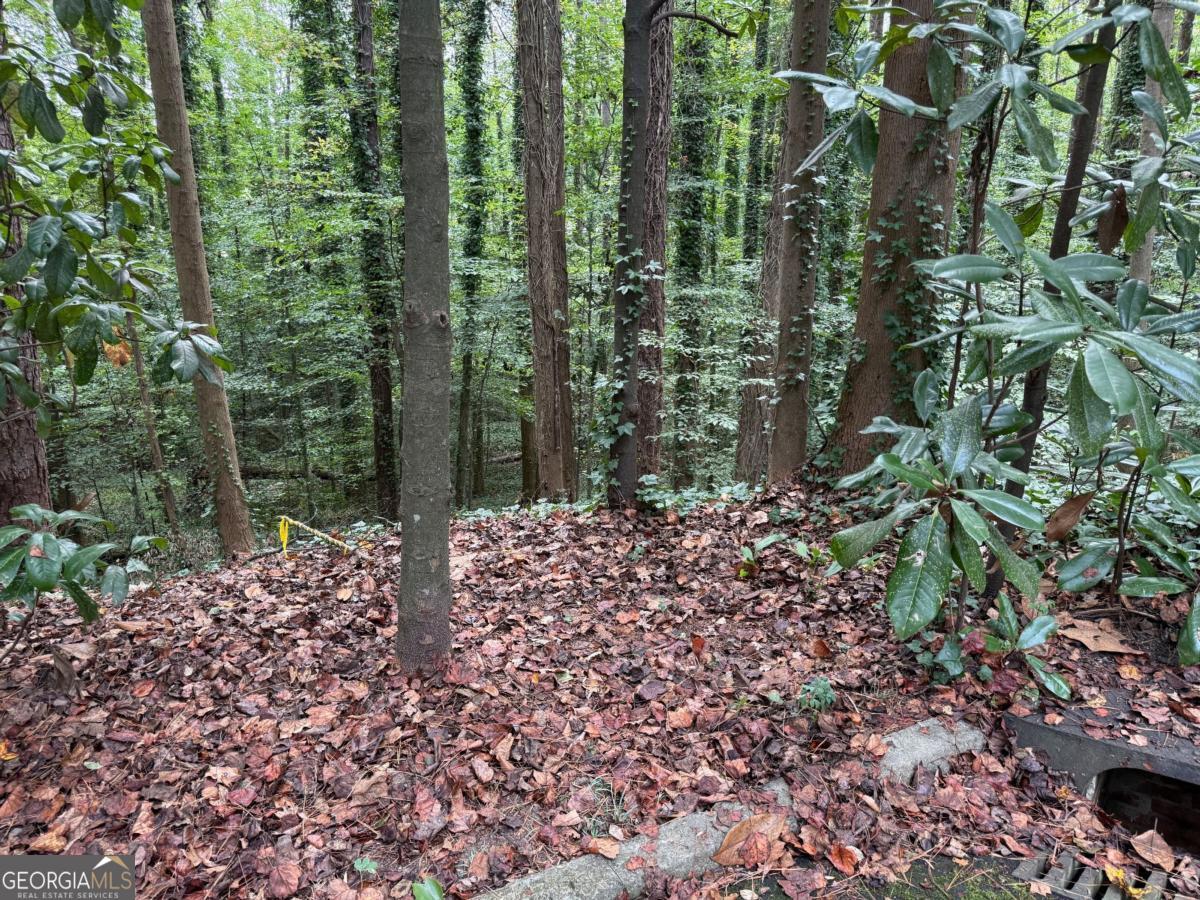 1095 Nawench Drive Property Photo 8