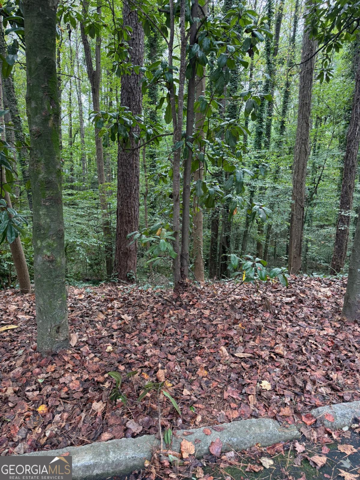 1095 Nawench Drive Property Photo 12