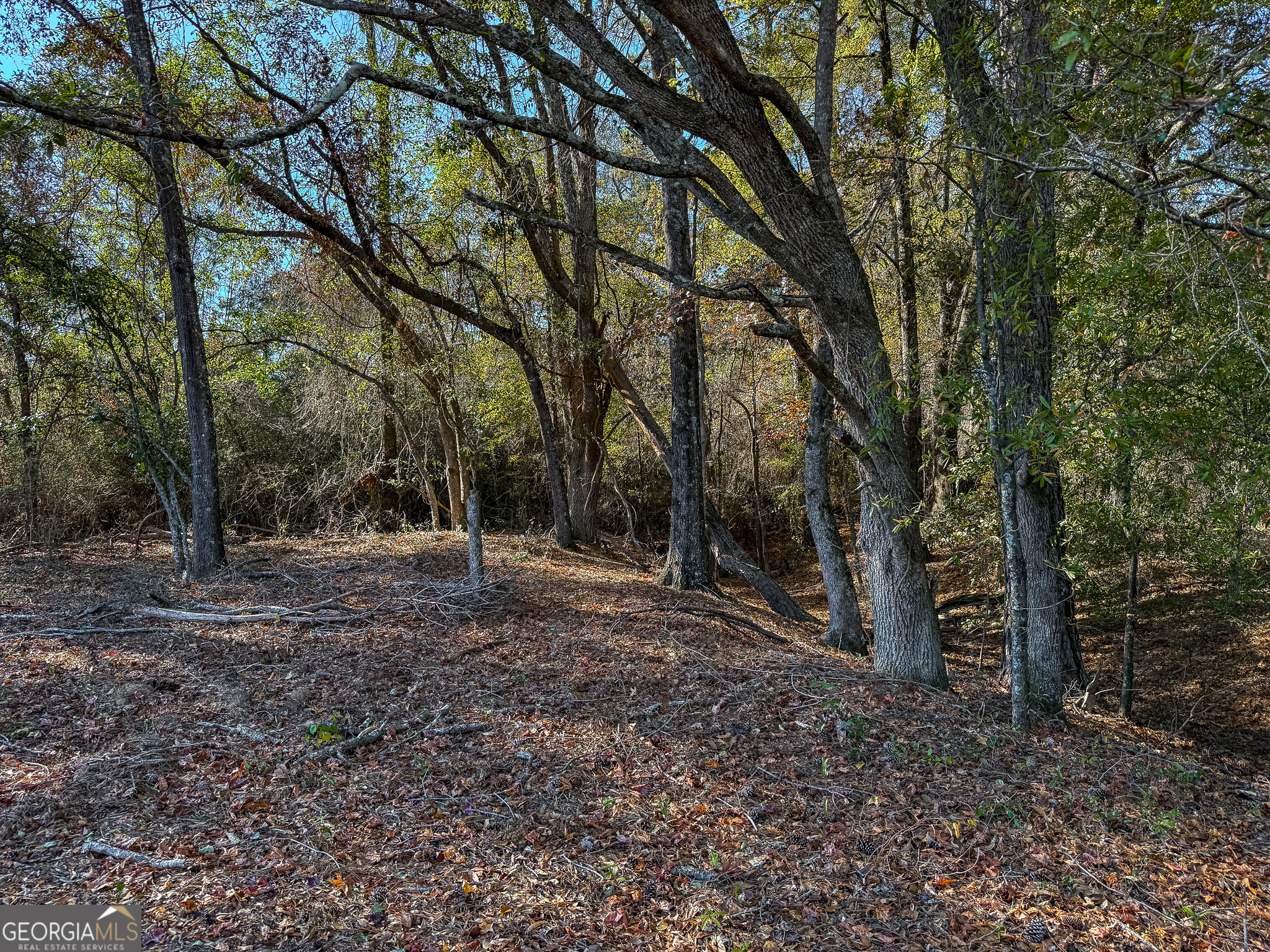 0 Buck Road Property Photo 3