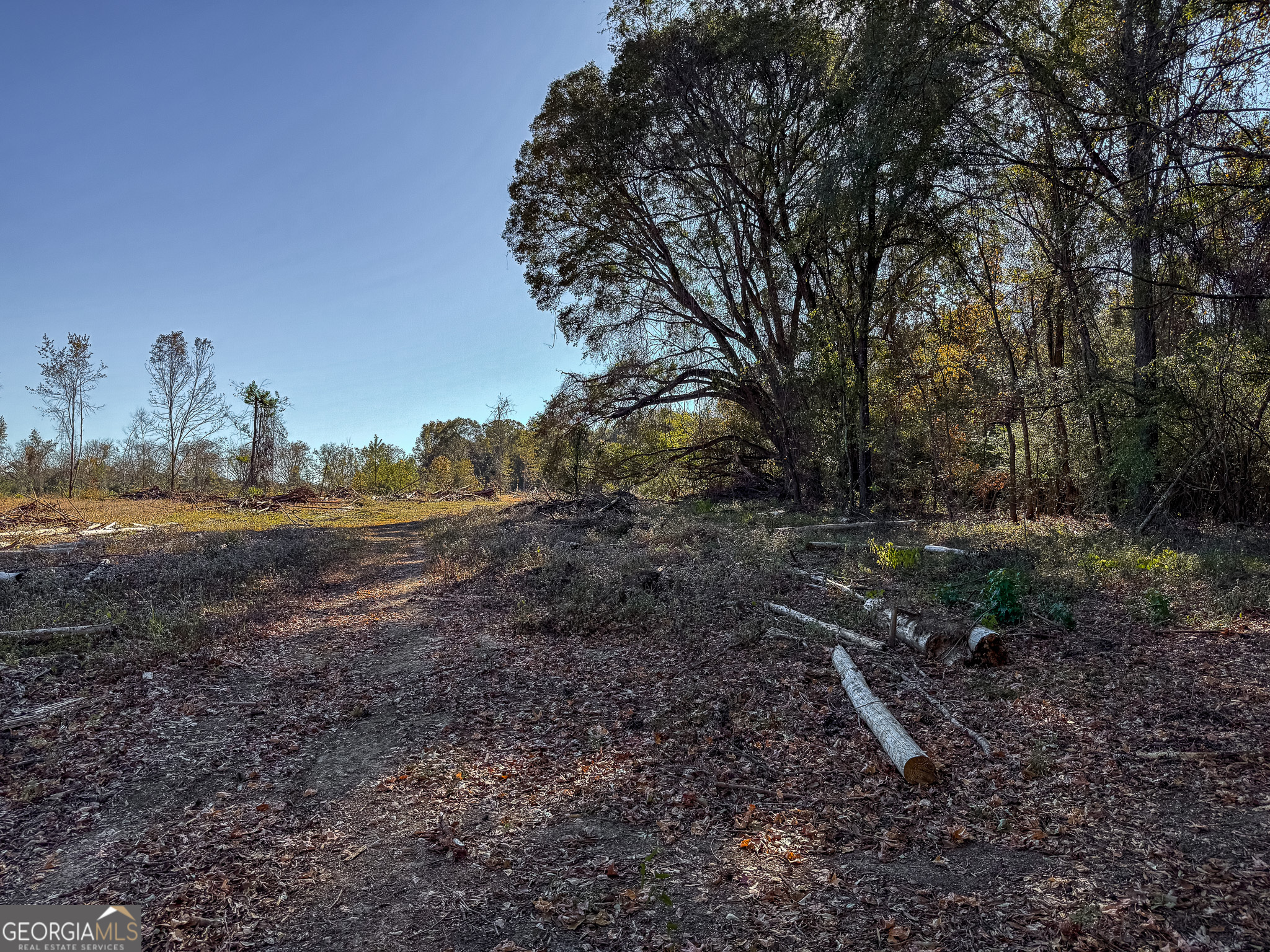 0 Buck Road Property Photo 16