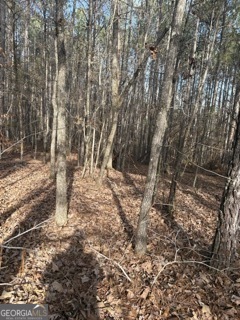 0 Hillview Road Property Photo 2