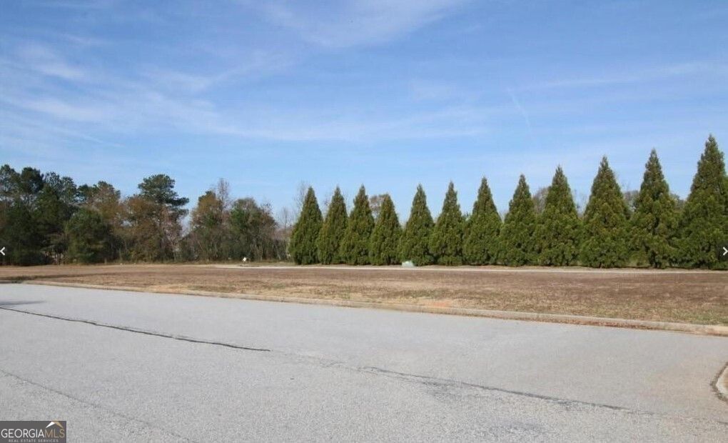 367 SE Athens Highway # 200 Property Photo 1