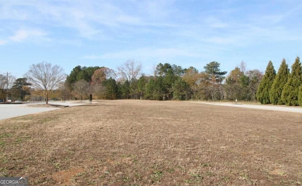 367 Se Athens Highway # 2700 Property Photo 2