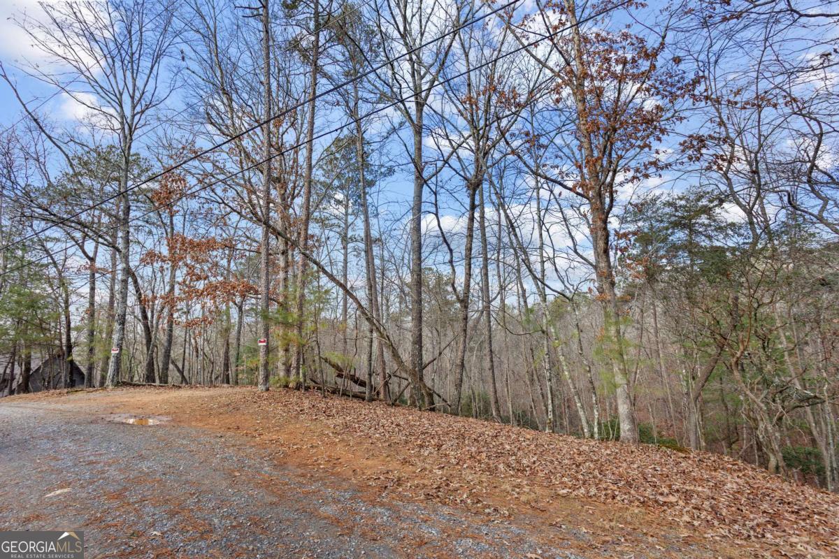 0 Omen Court Property Photo 2