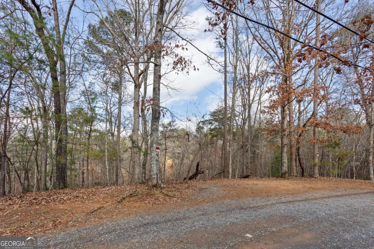 0 Omen Court Property Photo 3
