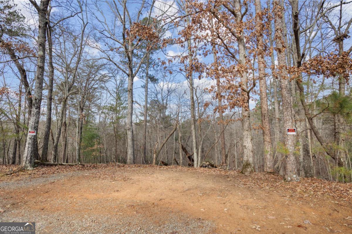 0 Omen Court Property Photo 5