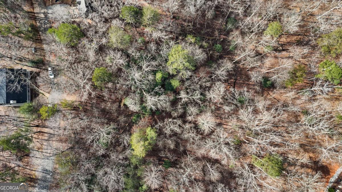 0 Omen Court Property Photo 6