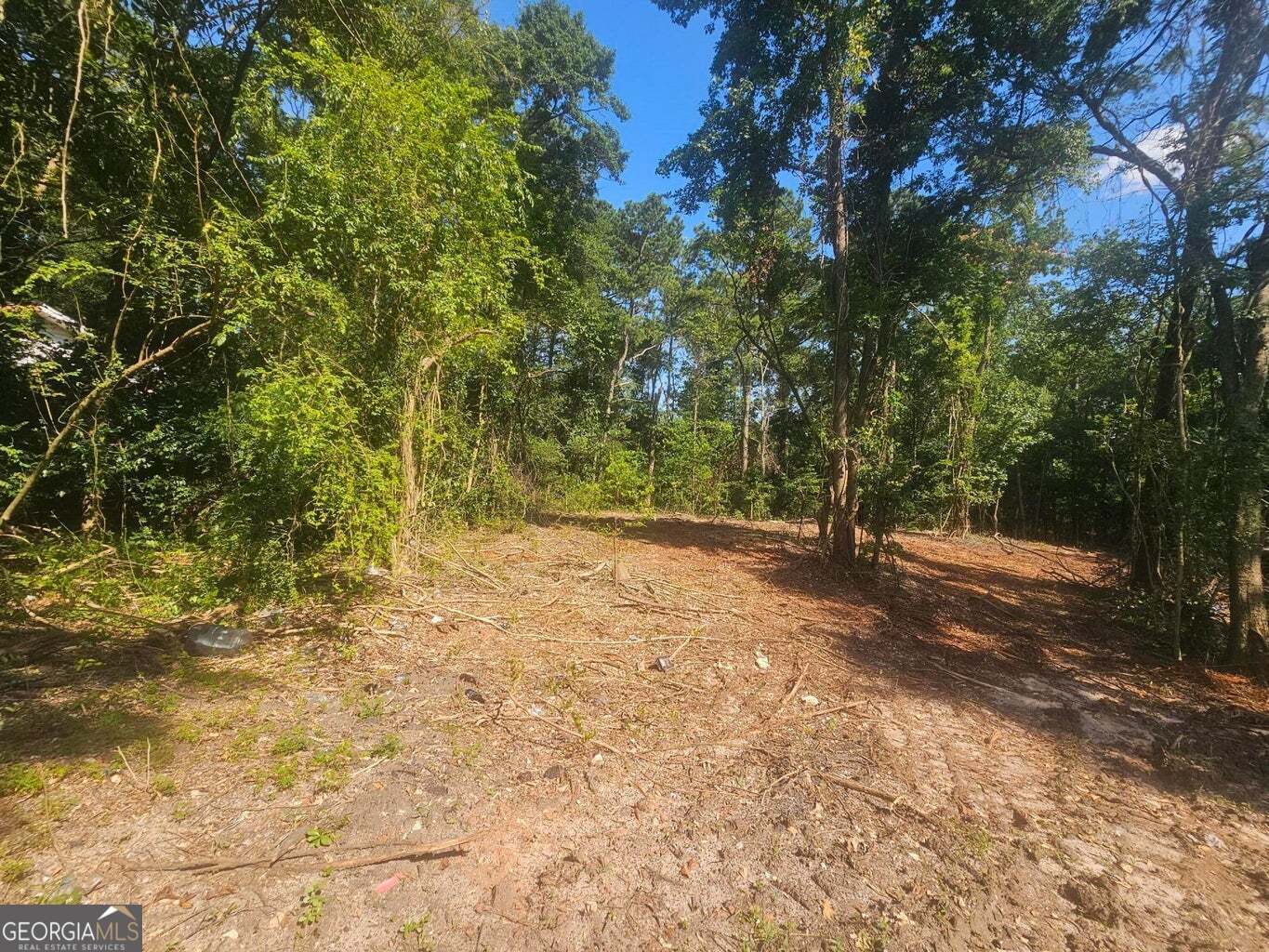 470 Forrest Drive Property Photo 1
