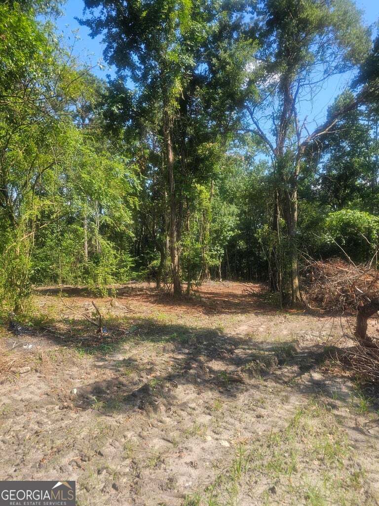 470 Forrest Drive Property Photo 4