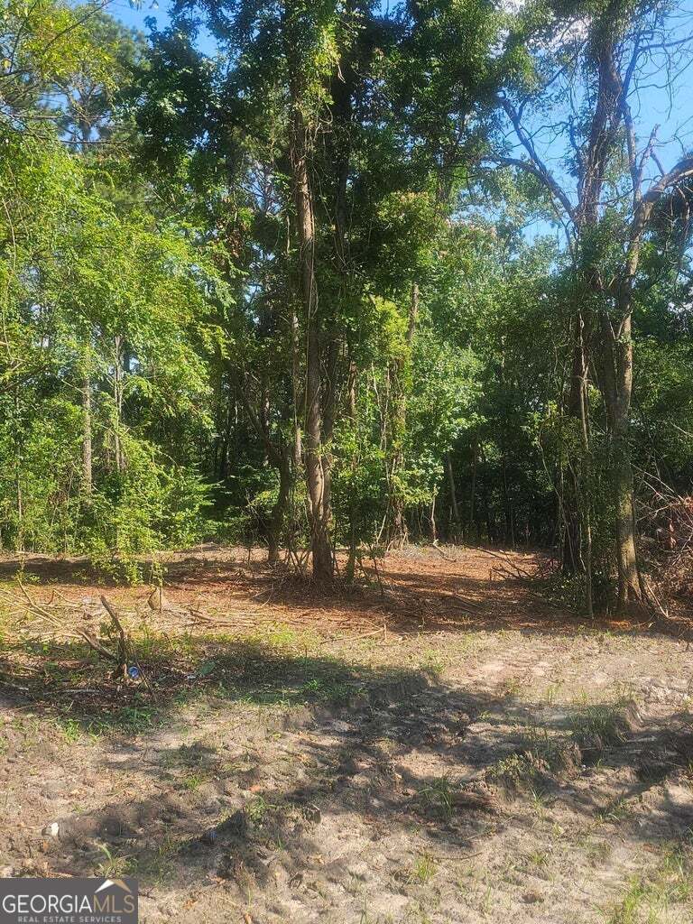 470 Forrest Drive Property Photo 5