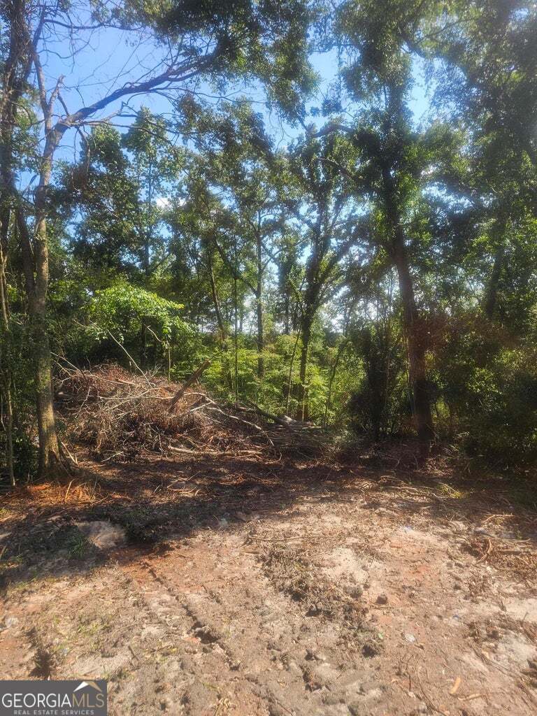 470 Forrest Drive Property Photo 6