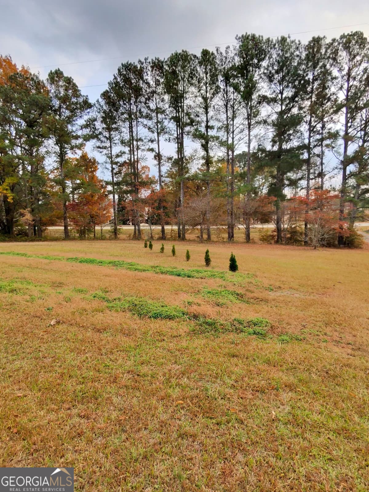 115 Frog Road # B Property Photo 3