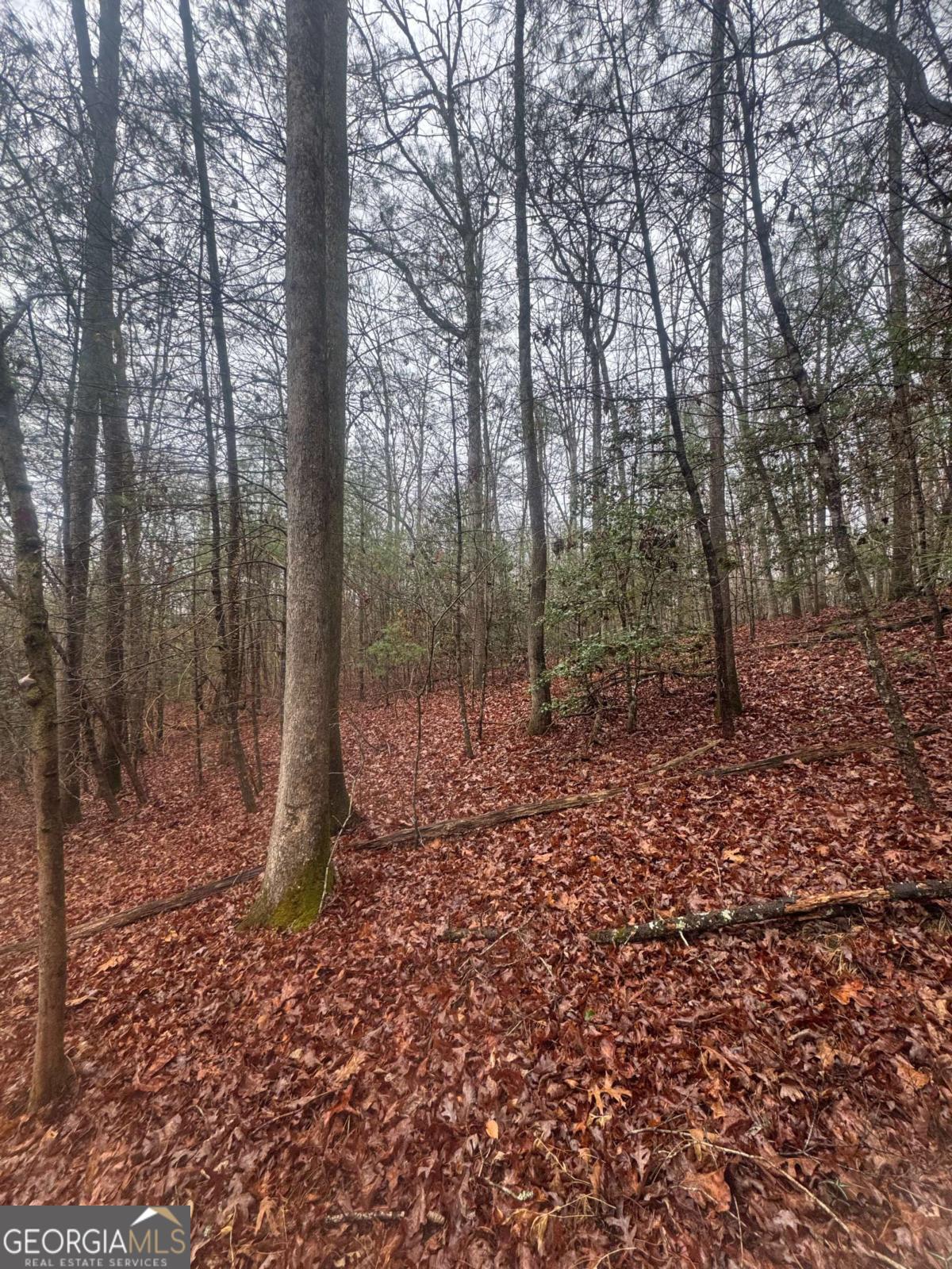 0 W Mountaintown Trail Property Photo 1