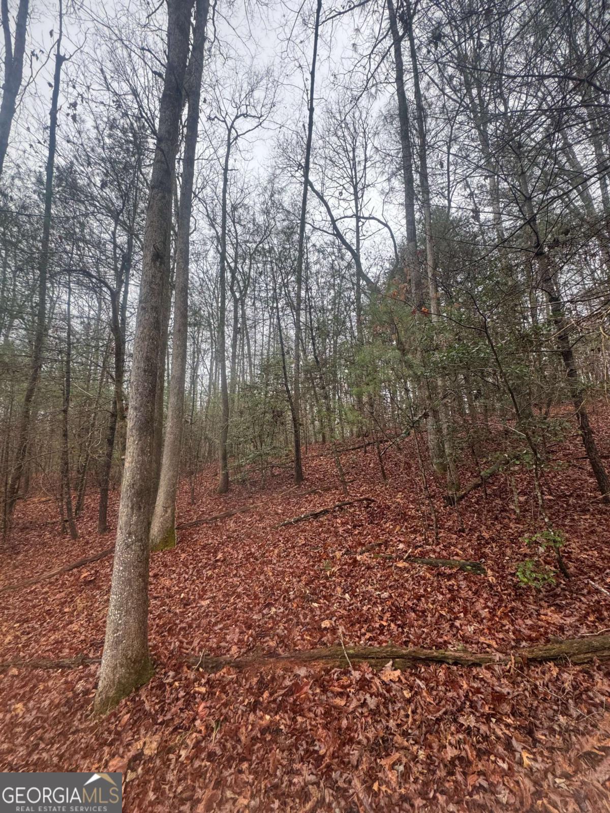 0 W Mountaintown Trail Property Photo 3