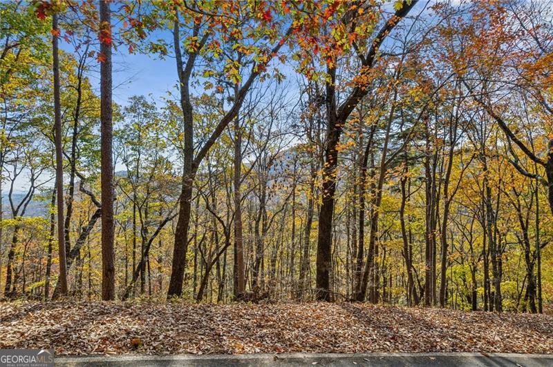 6057 Crested Iris Circle Property Photo 7