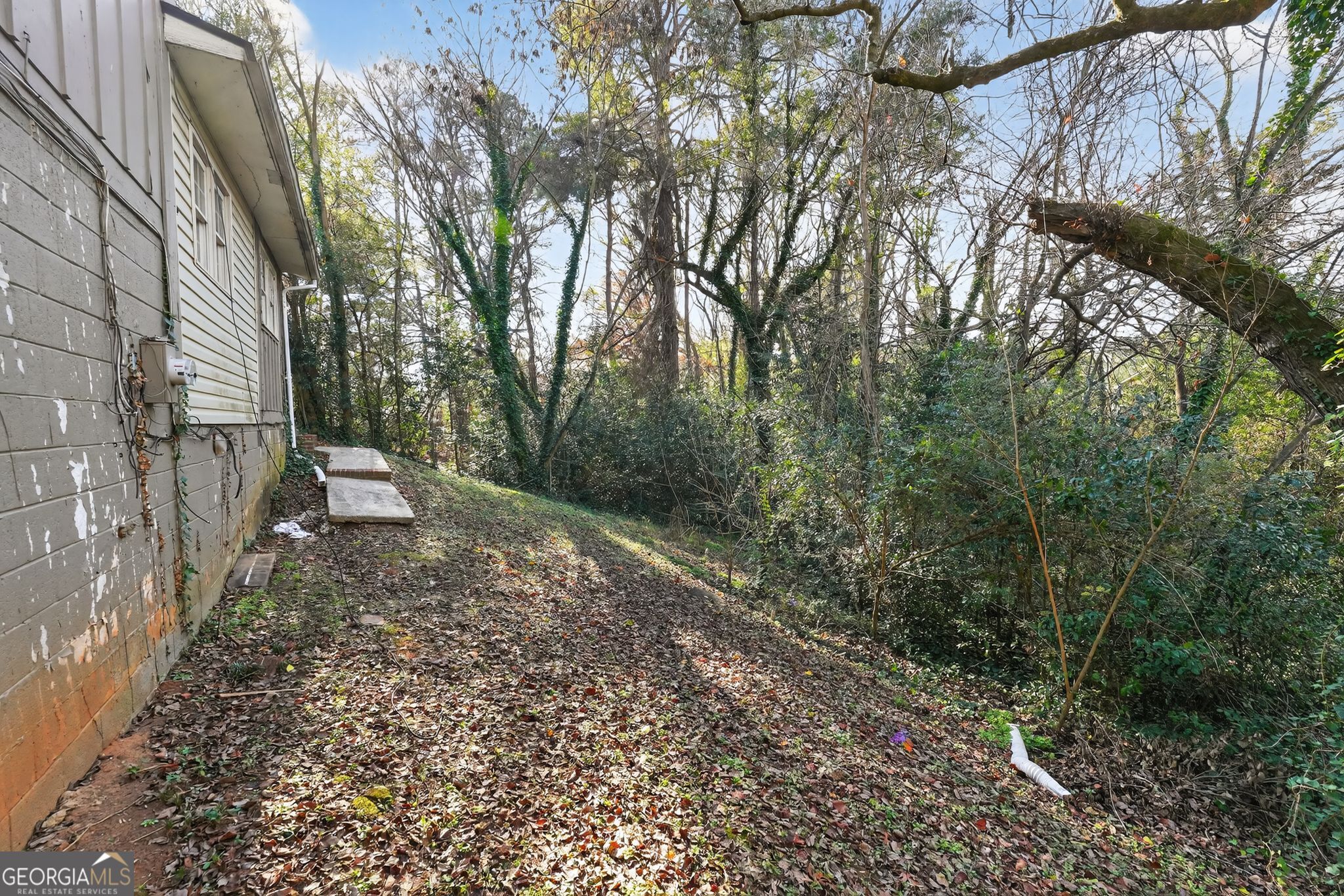 2497 Celina Court Property Photo 31