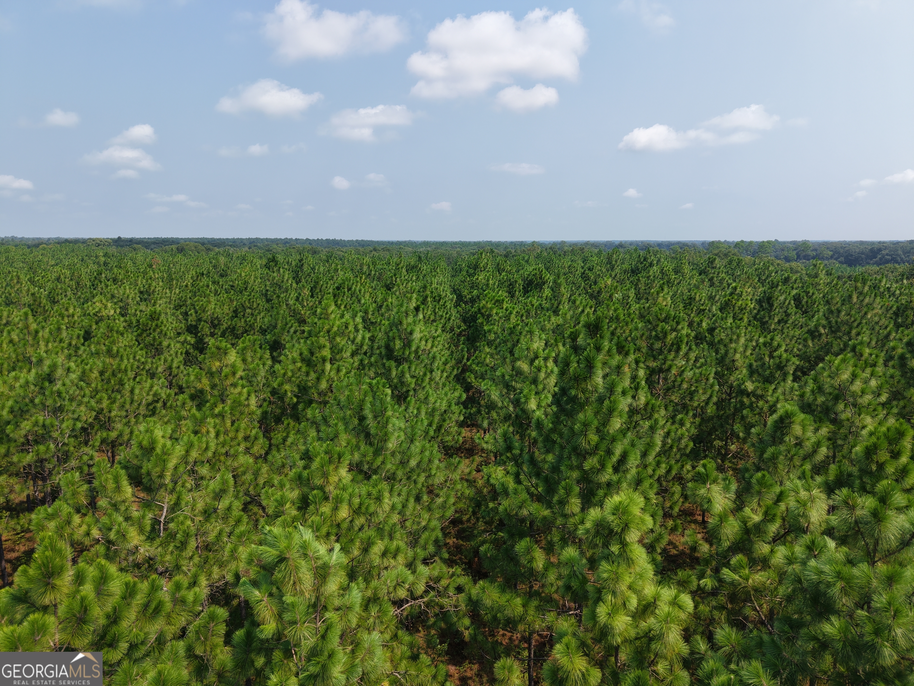4149 Highway 311 Property Photo 1