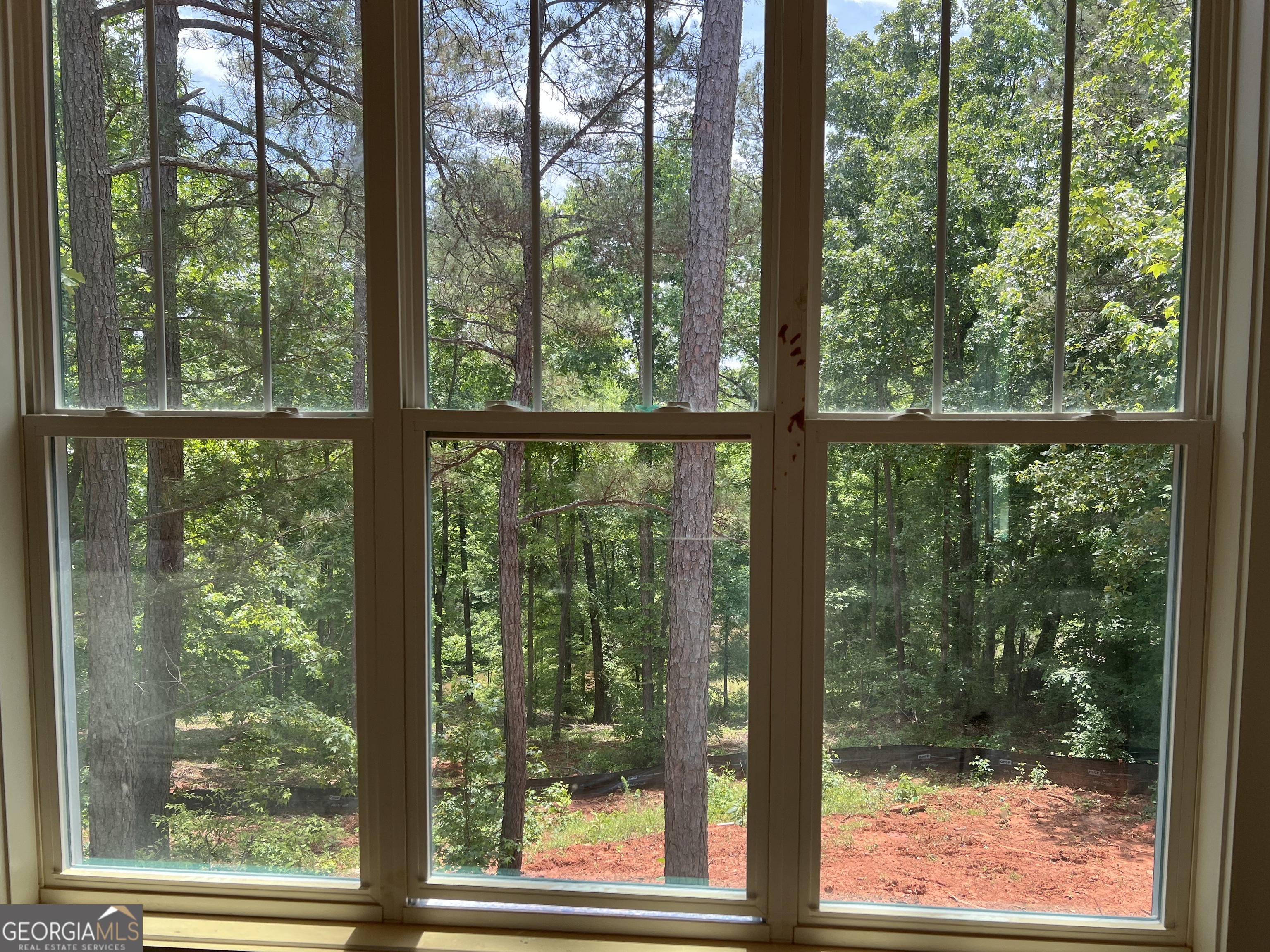 607 Forest Pointe Drive Property Photo 27