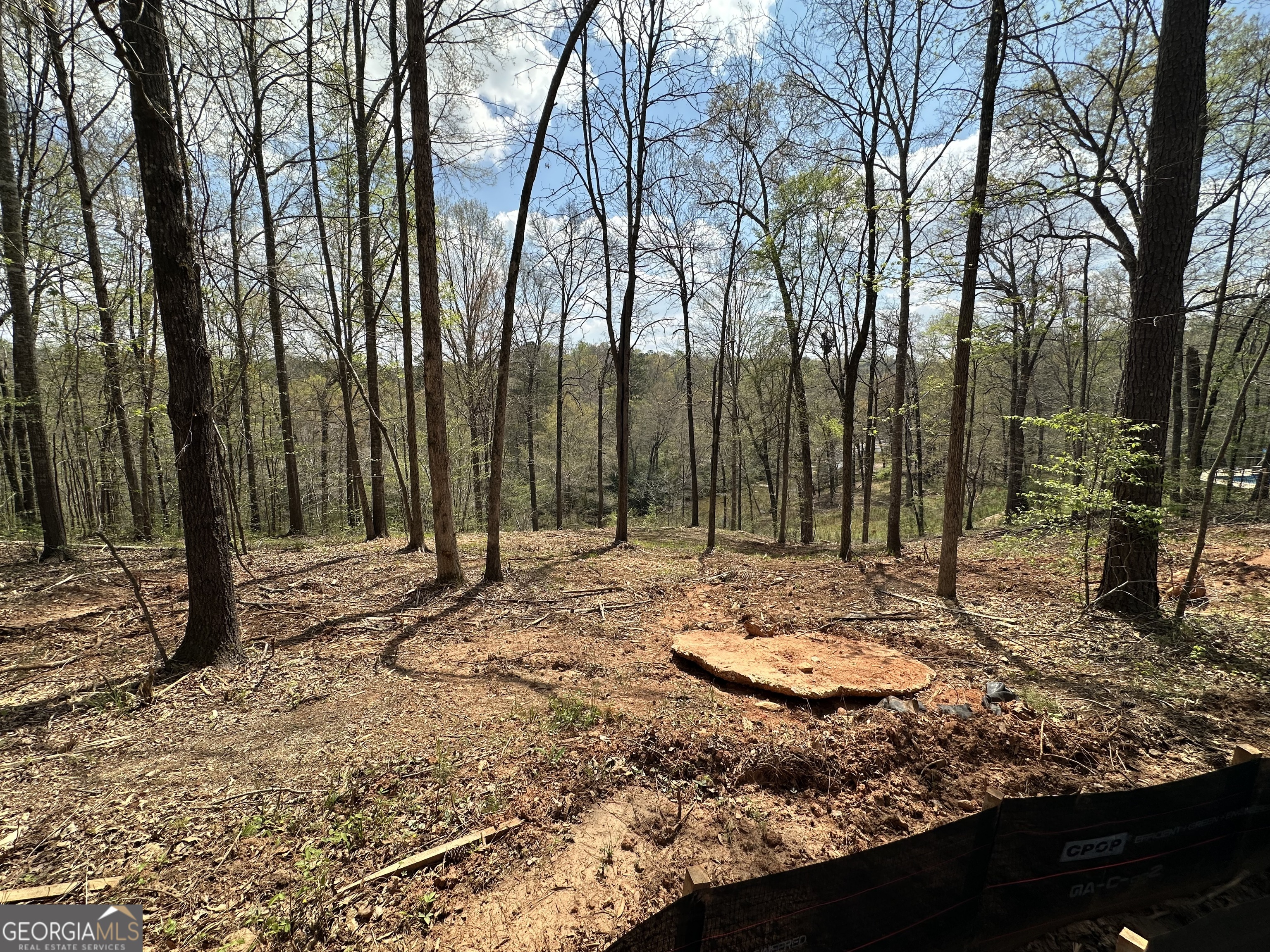 607 Forest Pointe Drive Property Photo 38