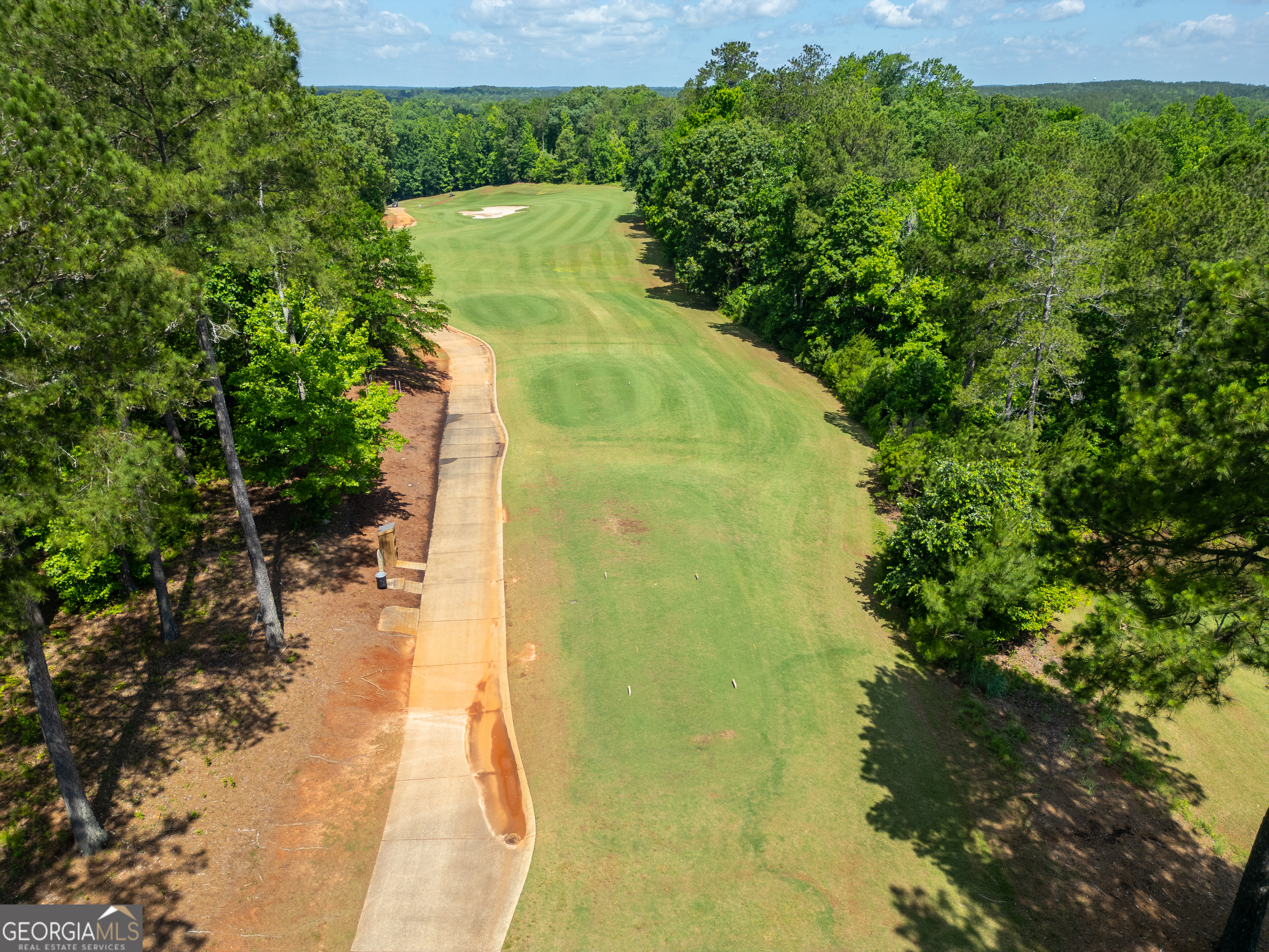 607 Forest Pointe Drive Property Photo 47